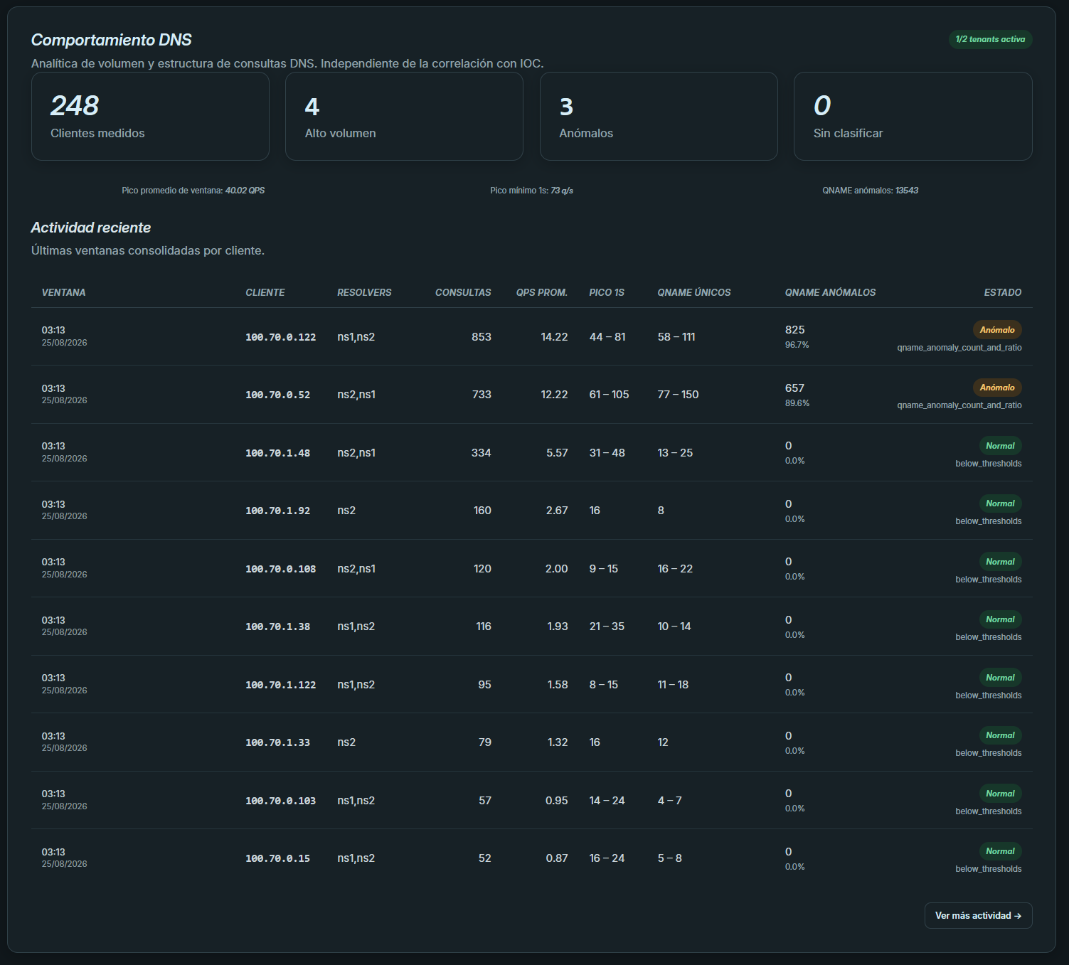 Panel de comportamiento DNS de SEC1